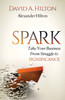 Spark: Take Your Business From Struggle To Significance