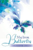 My Iron Butterfly