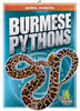 Burmese Pythons (Animal Invaders)