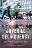 Juvenile Delinquency: Why Do Youths Commit Crime? - Hardcover