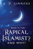 Who Is The Radical Islamist? And Why?