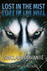 Lost In The Mist: Book Two Of The Lost And Found Series