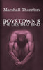 Boystown 8: The Lies That Bind (Boystown Mysteries)