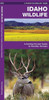 Idaho Wildlife: A Folding Pocket Guide To Familiar Animals (Wildlife And Nature Identification)