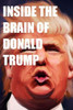 Inside The Brain Of Donald Trump: The Genius That Is Trump