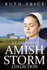 A Lancaster Amish Storm Collection (Amish Identity)