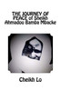 The Journey Of Peace Of Sheikh Ahmadou Bamba Mbacke (Light Up The Midnight)