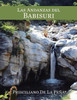 Las Andanzas Del Babisuri (Spanish Edition)