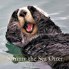Sammy The Sea Otter