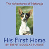 The Adventures Of Nataraja - His First Home