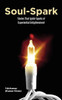 Soul-Spark: Stories That Ignite Sparks Of Experiential Enlightenment