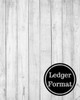 Ledger Format: Two Columnar Format