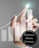 Balance Sheet Format: Balance Sheet Book