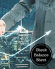 Check Balance Sheet: Check Register