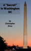 A Secret In Washington Dc