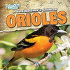 A Bird Watcher's Guide To Orioles (Backyard Bird Watchers)