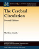 The Cerebral Circulation (Colloquium Integrated Systems Physiology: From Molecule To Function To Disease)