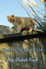 Painting The Cat's Vision