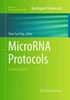 Microrna Protocols (Methods In Molecular Biology, 936)