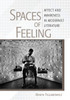 Spaces Of Feeling: Affect And Awareness In Modernist Literature
