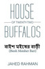 House Of Twenty-Two Buffalos