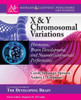 X & Y Chromosomal Variations: Hormones, Brain Development, And Neurodevelopmental Performance (Colloquium The Developing Brain)