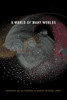 A World Of Many Worlds