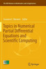 Topics In Numerical Partial Differential Equations And Scientific Computing (The Ima Volumes In Mathematics And Its Applications, 160)
