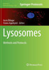 Lysosomes: Methods And Protocols (Methods In Molecular Biology, 1594)