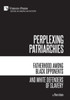 Perplexing Patriarchies: Fatherhood Among Black Opponents And White Defenders Of Slavery (American History)