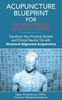 Acupuncture Blueprint for Success: Transform Your Practice Growth and Clinical Results 10x with Structural Alignment Acupuncture