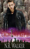 Cronin's Key II: (French Edition)