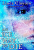 An Ice Way to Die: A Julia Greene Travel Mystery