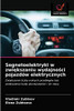Segnetoelektryki w zwiększaniu wydajności pojazdów elektrycznych (Polish Edition)