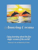 Amazing Oceans