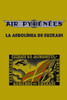 Air Pyrenees: La Aerolínea de Euzkadi (Serie diáspora) (Spanish Edition)