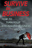 Survive in Business: How to Turn Your Struggling Business Around - Paperback