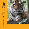 Big Cats