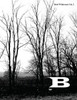 Brief Wilderness: The space between