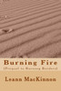 Burning Fire: (Prequel to Burning Borders) (Shalan Chronicles)