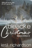 A Bleacke Christmas (Bleacke Shifters)