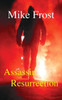 Assassin Resurrection (Accidental Assassin Series)