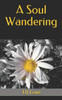 A Soul Wandering
