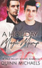 A Holiday Magic Mixup: A Winter Romance (Vale Valley)