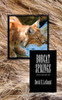 Bobcat Springs