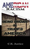 American Racism: Being Brown in Trump's America