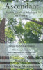 Ascendant: Modern Essays on Polytheism and Theology