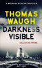 Darkness Visible (Michael Devlin Thriller Series)