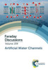 Artificial Water Channels: Faraday Discussion 209 (Faraday Discussions, Volume 209)