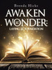 Awaken the Wonder: Laying the Foundation